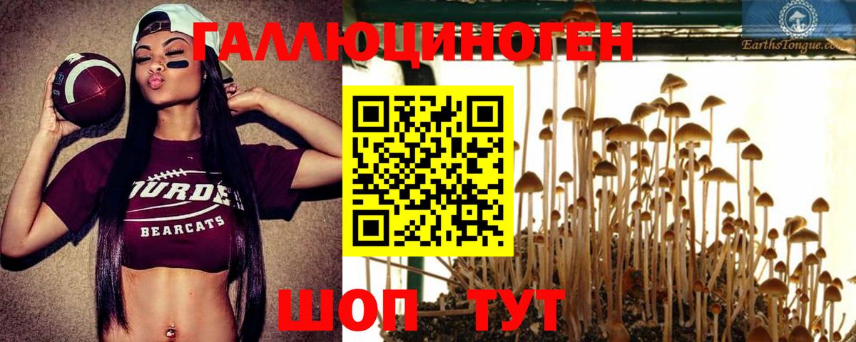 Галлюциногенные грибы Magic Shrooms Заринск