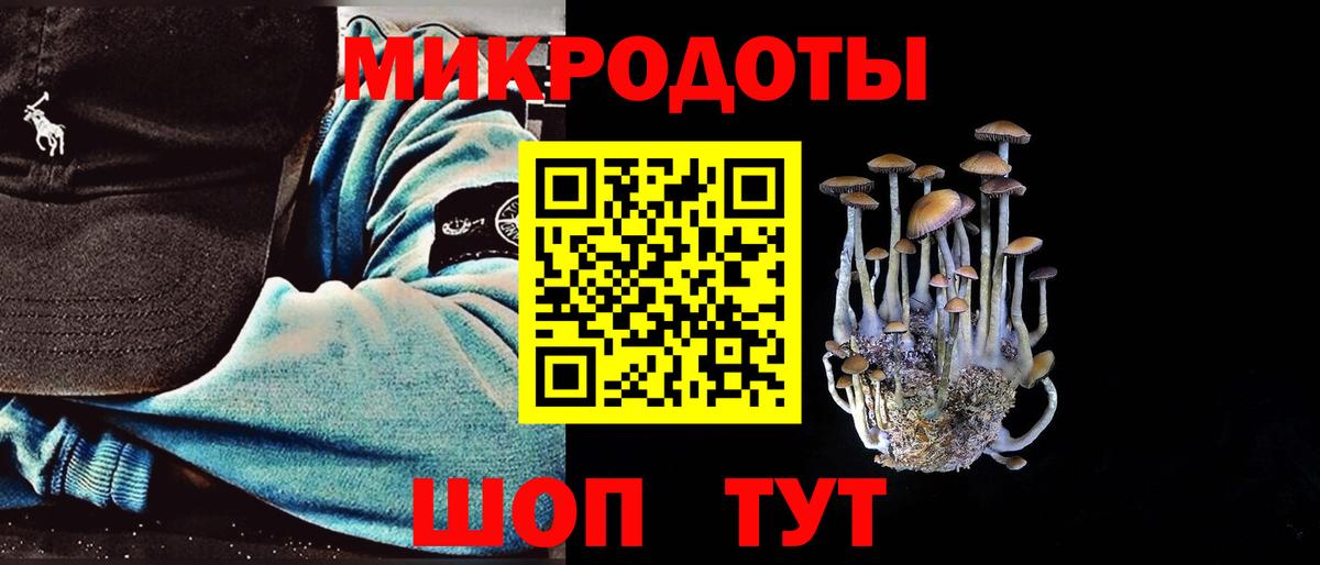 Галлюциногенные грибы Psilocybe  цены   Заринск  Вход с VPN 